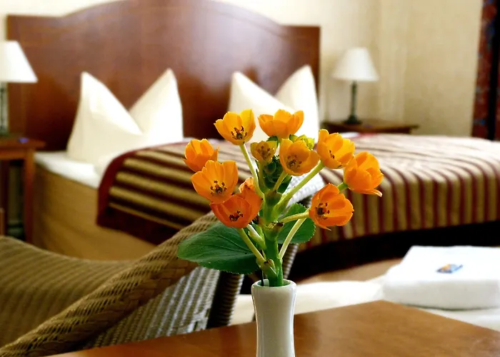 Safestay Kurfurstendamm Hotel 3*