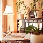 Safestay Kurfurstendamm 3*