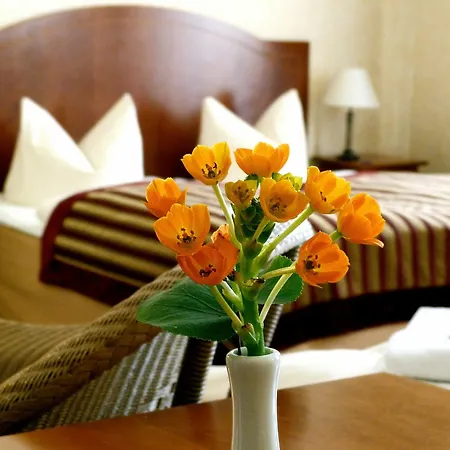 Safestay Kurfurstendamm Hotell 3*