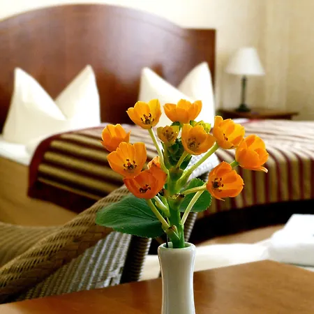 Safestay Kurfurstendamm מלון 3*